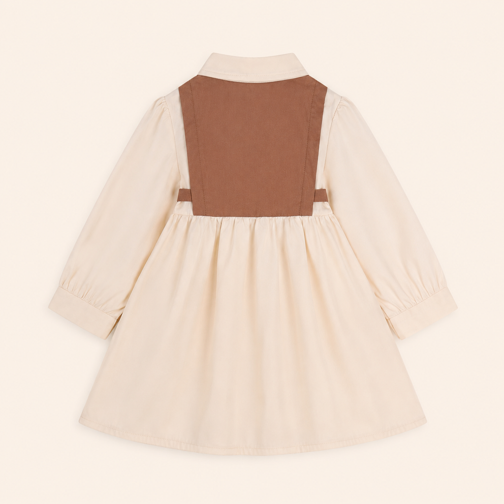Panel Collar Dress